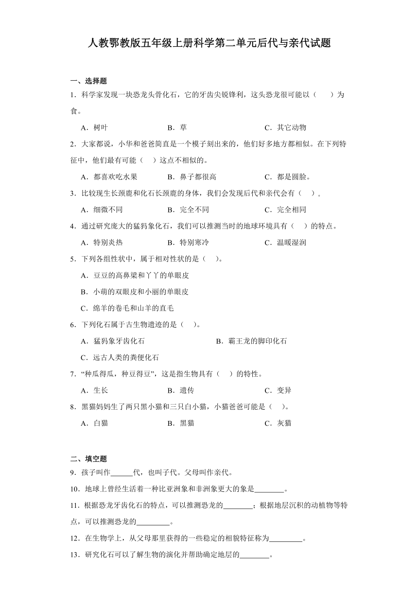 人教鄂教版五年级上册科学第二单元后代与亲代试题（含答案）