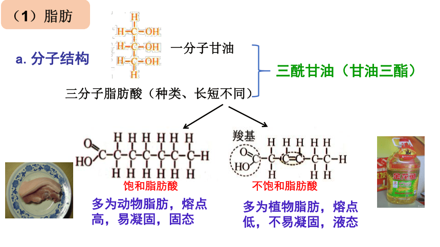 2.3.2 细胞中的糖类和脂质（第二课时）课件（共19张PPT）2023-2024学年高一上学期生物人教版（2019）必修1