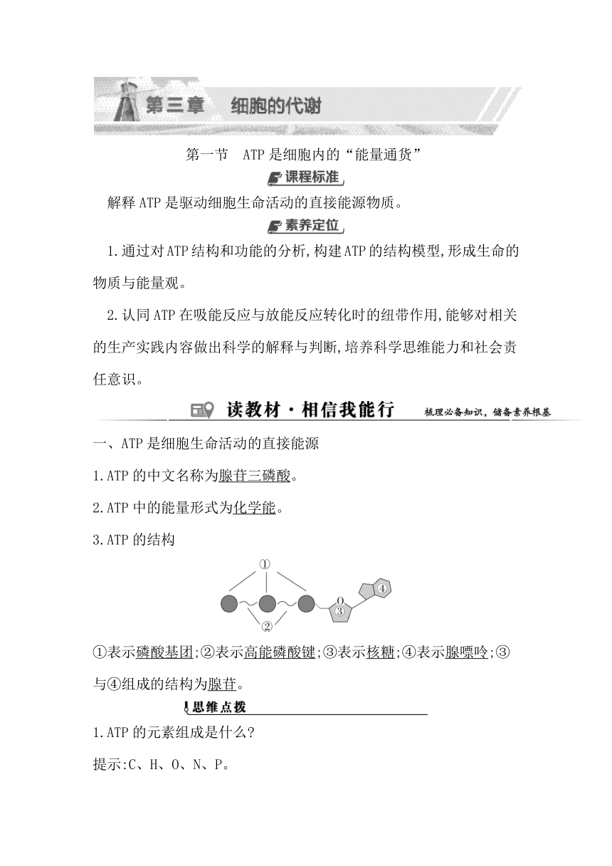 浙科版（2019）生物必修一 第三章第一节　ATP是细胞内的“能量通货”学案（有答案）