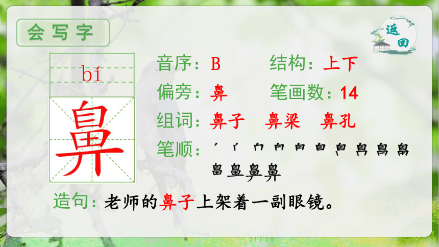 23.《父亲、树林和鸟》第一课时课件（共37张PPT）