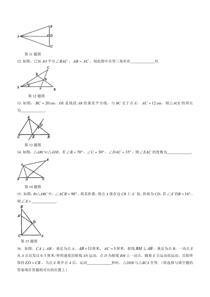 江苏省连云港市灌云县实验中学2023-2024学年八年级上学期10月月考数学试题（含答案）