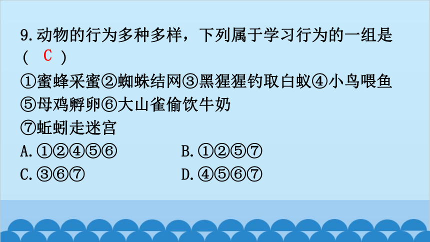 期末过关训练课件(共43张PPT)北师大版生物八年级上册