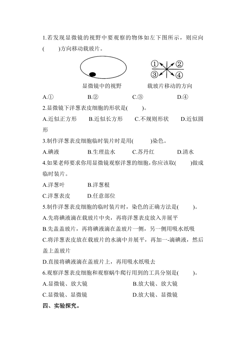 科学教科版六年级上册1.4 观察洋葱表皮细胞 同步作业（含答案）