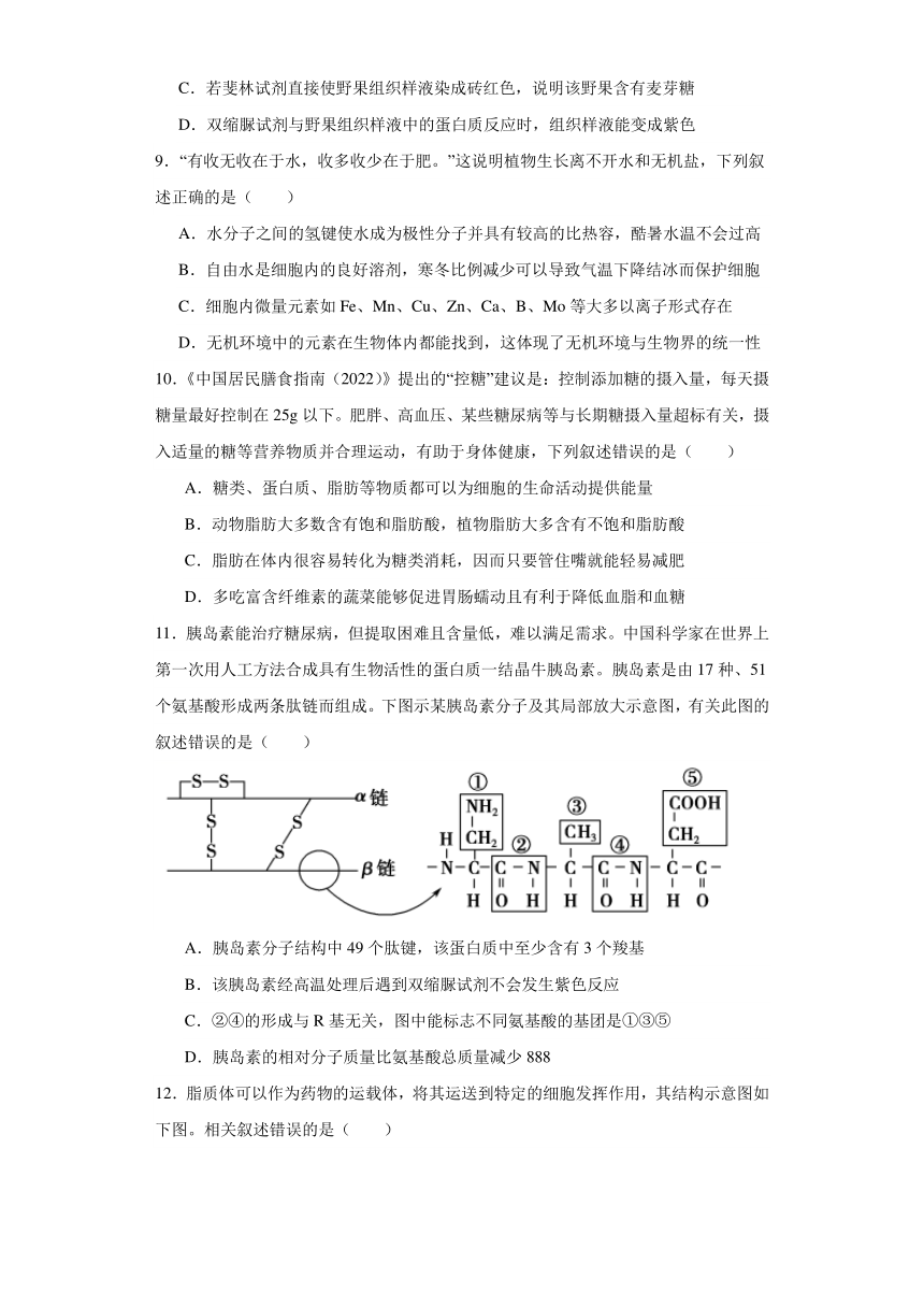 广东省深圳市光明区重点中学2023-2024学年高一上学期12月月考生物学试题（含答案解析）