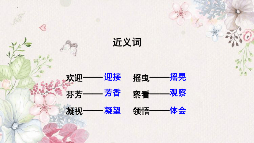 4花之歌课件(共30张PPT)