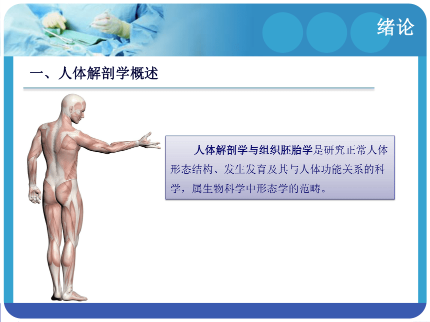 绪论 课件(共13张PPT)-《解剖学基础》同步教学（江苏大学出版社）