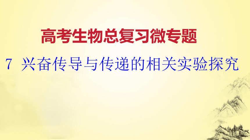 高考生物总复习微专题7 兴奋传导与传递的相关实验探究(课件共19张PPT)