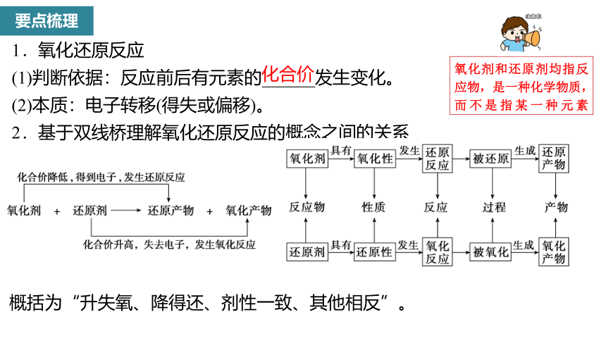 2024届高三化学一轮复习氧化还原反应的基本概念和规律课件(共45张PPT)