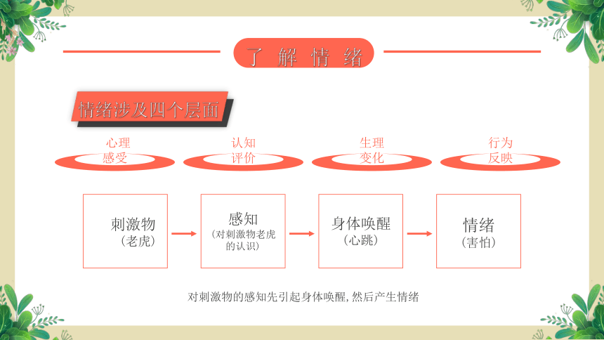 第四课：了解自己的情绪-北师大版五年级上册心理健康同步课件