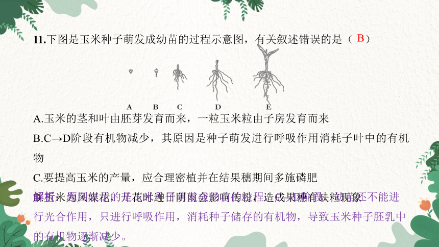 期末过关检测卷习题课件(共41张PPT)人教版生物七年级上册