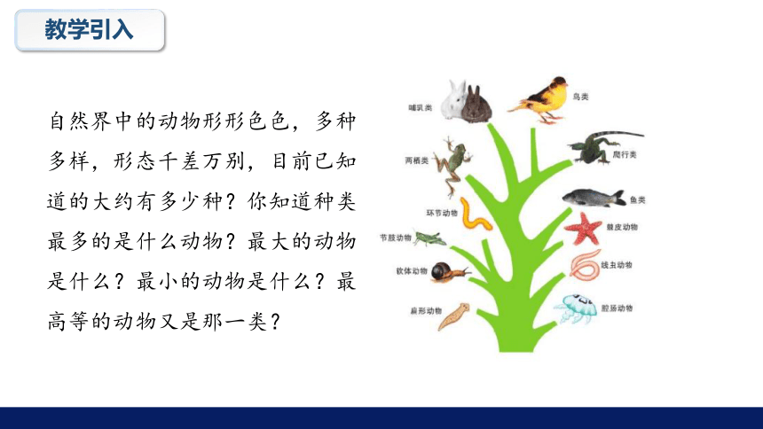 7.22.4 动物的主要类群教学（第一课时）课件(共19张PPT)2022--2023学年北师大版生物八年级下册