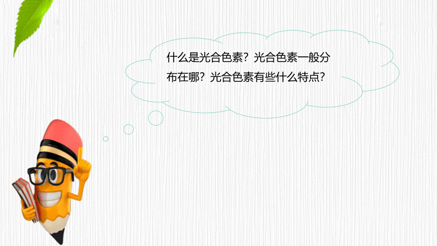 3.5.1 光合作用概述、光合色素的提取与分离  课件(共25张PPT) 2023-2024学年高一生物 浙教版（2019） 必修一