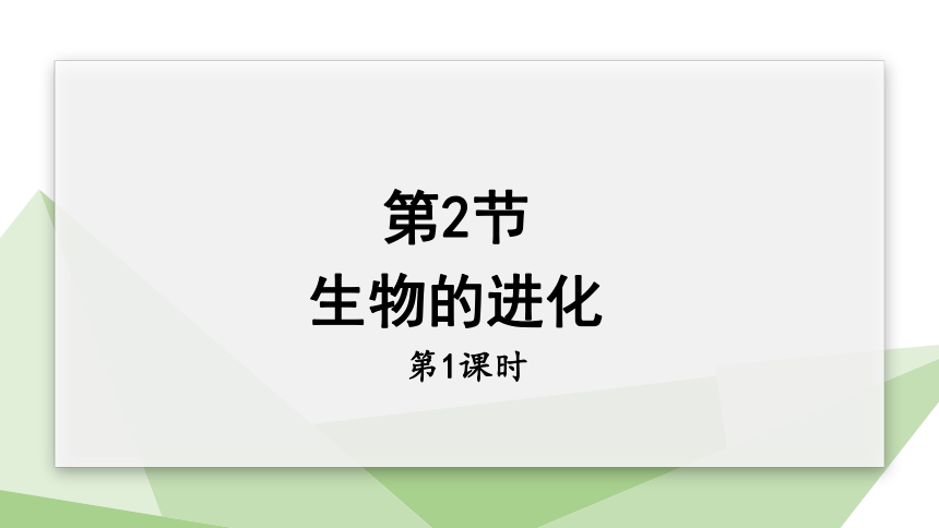 7.21.2 生物的进化 第1课时 课件(共24张PPT) 2023-2024学年初中生物北师版八年级下册