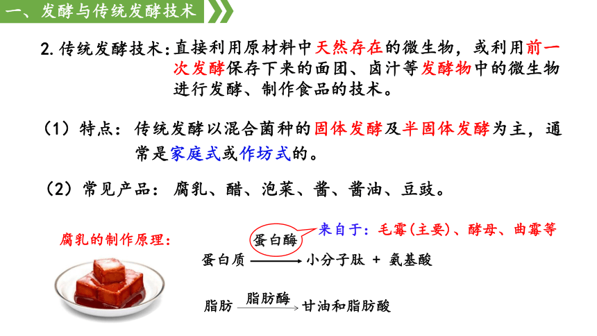 1.1传统发酵技术课件（共51张PPT） 人教版选择性必修三