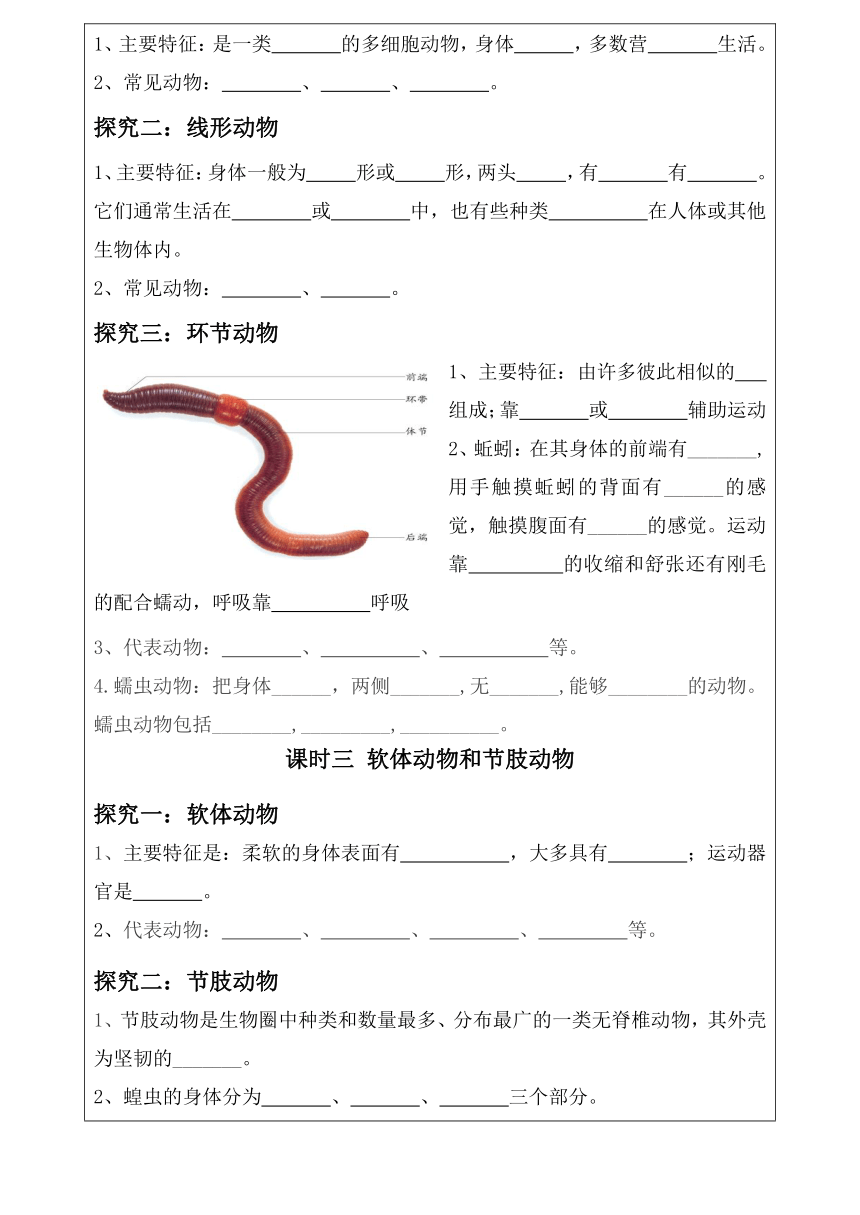 2.2.1 无脊椎动物的主要类群 教学案（表格式 无答案）山东省济南市济南版生物七年级上册