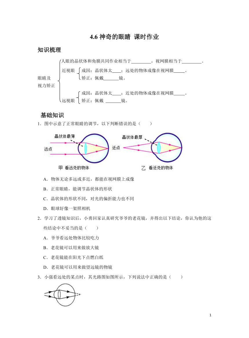 沪科版物理八年级4.6神奇的眼睛 课时习题（含解析）