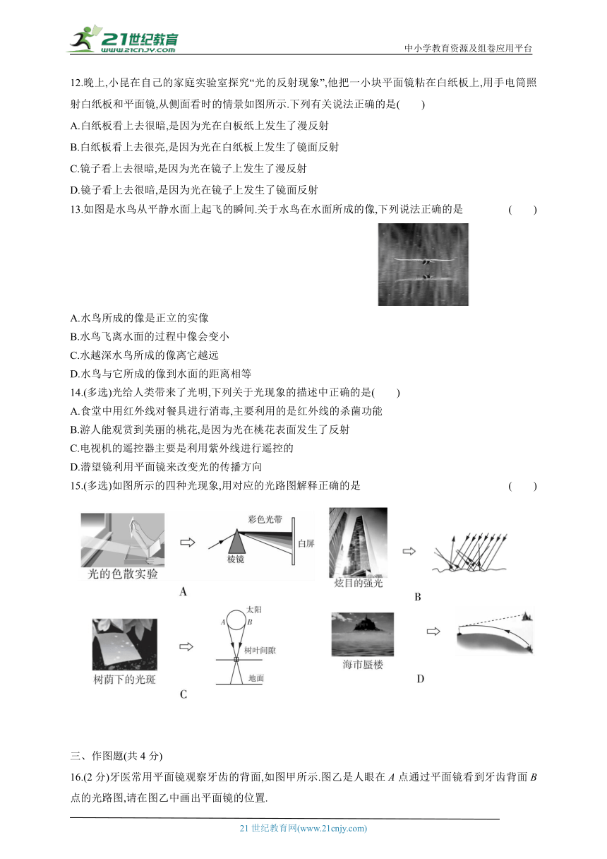 2024人教版八年级物理上学期单元测试卷--第四章光现象测试卷（有答案）