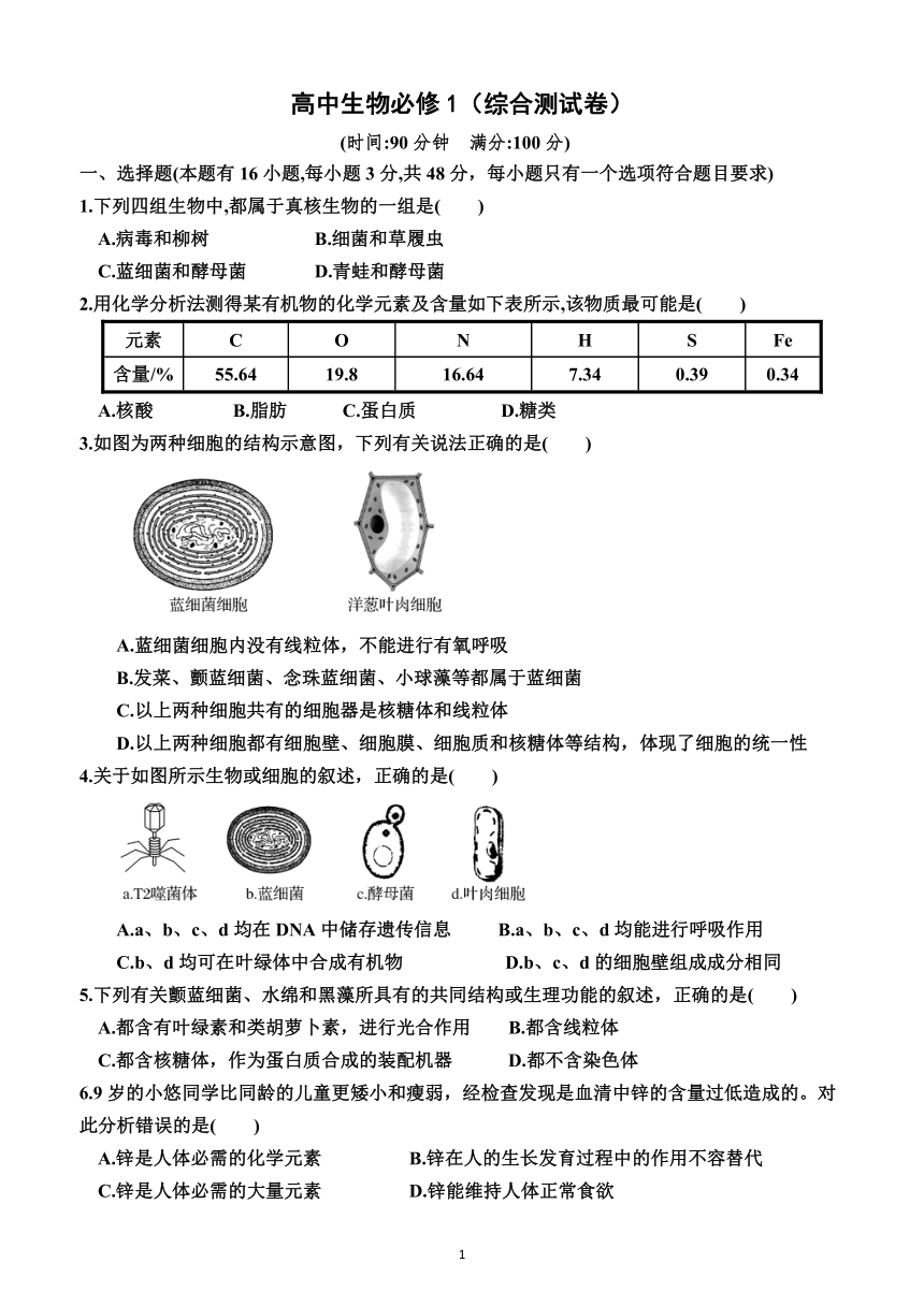 高中生物必修1（综合测试卷）（附解析）—2023-2024学年人教版(2019）生物高一上学期必修1