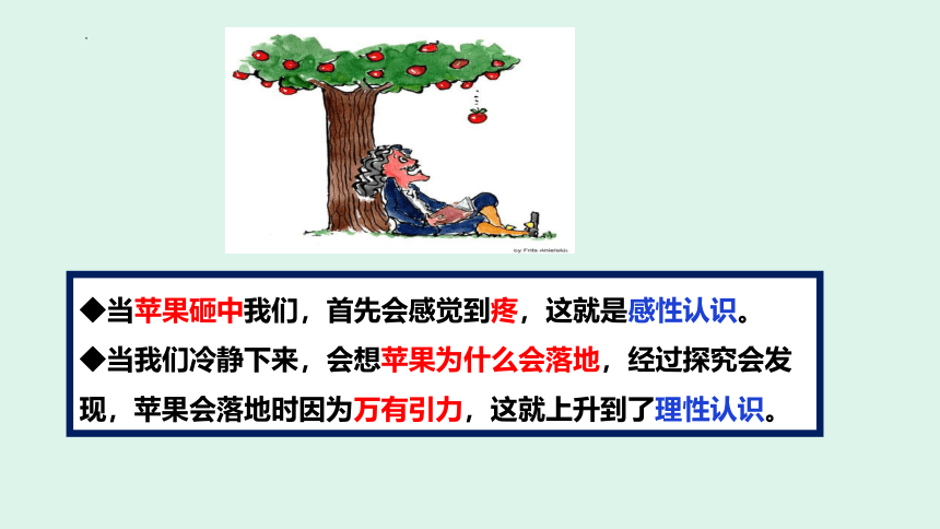 1.1 思维的含义与特征 课件（26张）-2023-2024学年高中政治统编版选择性必修3