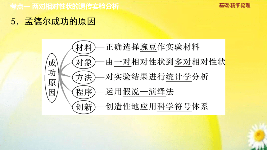 高三生物总复习课件-必修2 遗传与进化：第17讲　基因的自由组合定律(共36张PPT)