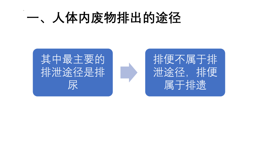 4.5人体内废物的排出课件（共21张PPT内嵌视频1个） 人教版生物七年级下册