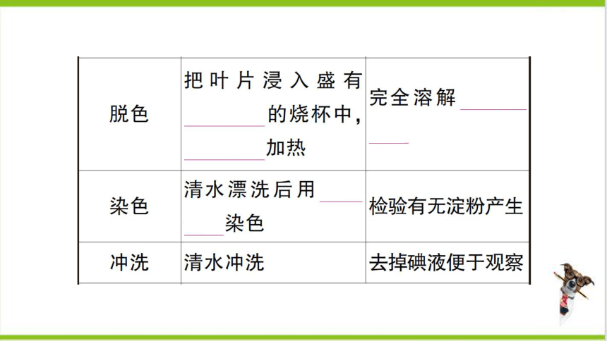 【掌控课堂-创优作业】人教版生物七(上)期末复习 专题四 植物的三大生理作用及爱护植被 (课件版)