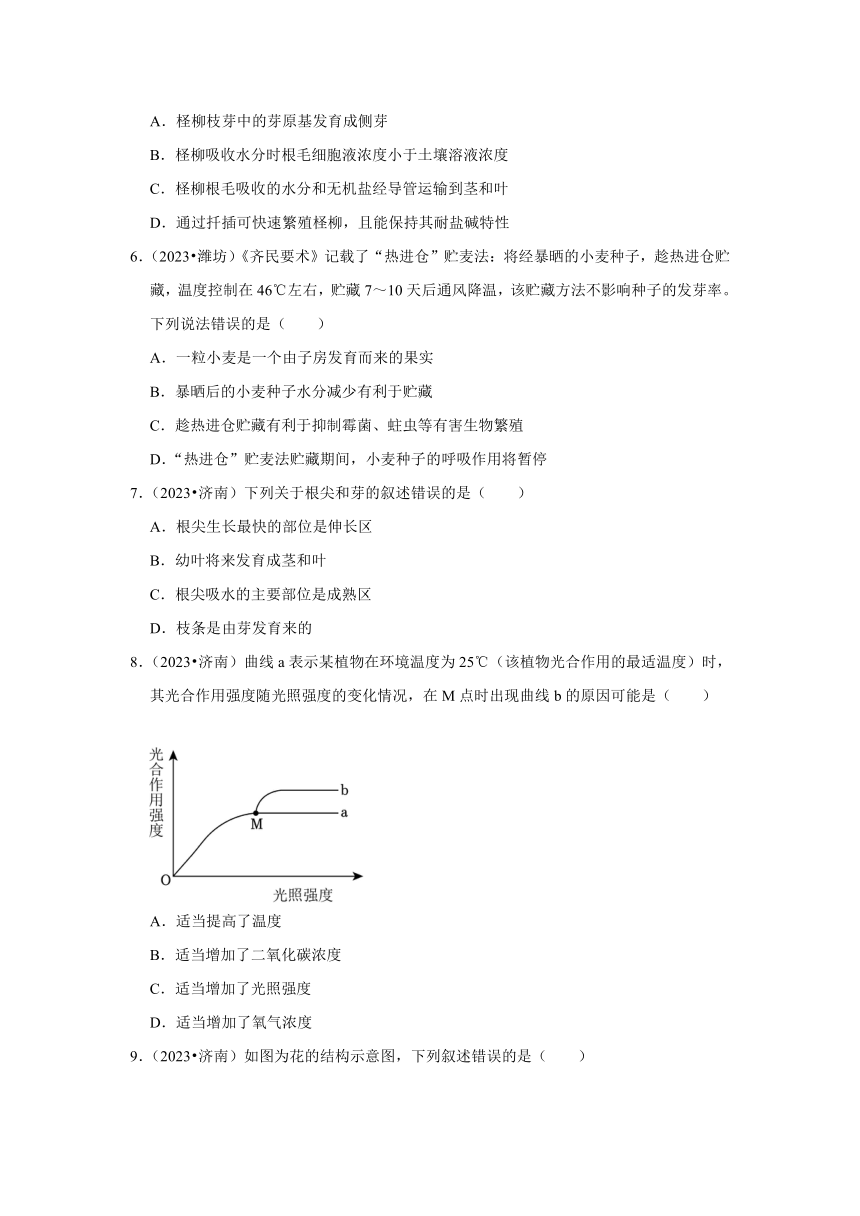 专题3绿色植物——2022-2023年山东省中考生物试题分类（含解析）