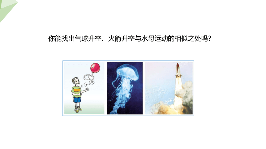 5.15.1  动物运动的方式 课件(共27张PPT) 2023-2024学年初中生物北师版八年级上册