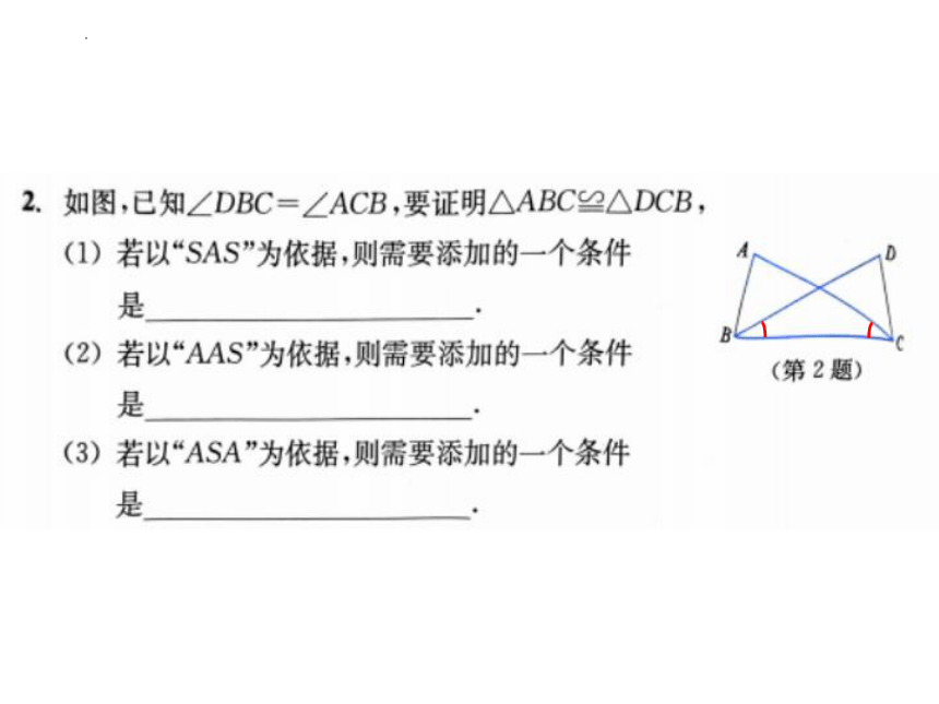 1.5.4三角形全等的判定 AAS  课件(共20张PPT) 2023—2024学年浙教版数学八年级上册