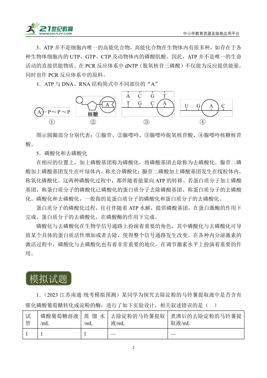 【备考2024】高中生物一轮复习学案 第4讲 细胞的能量代谢（1）——酶与ATP（含解析）