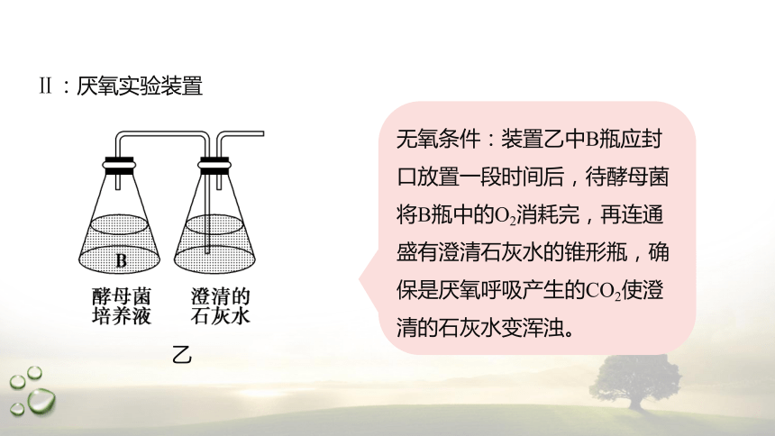 3.4.1 探究酵母菌的呼吸方式及需氧呼吸  课件(共22张PPT) 2023-2024学年高一生物 浙教版（2019） 必修一