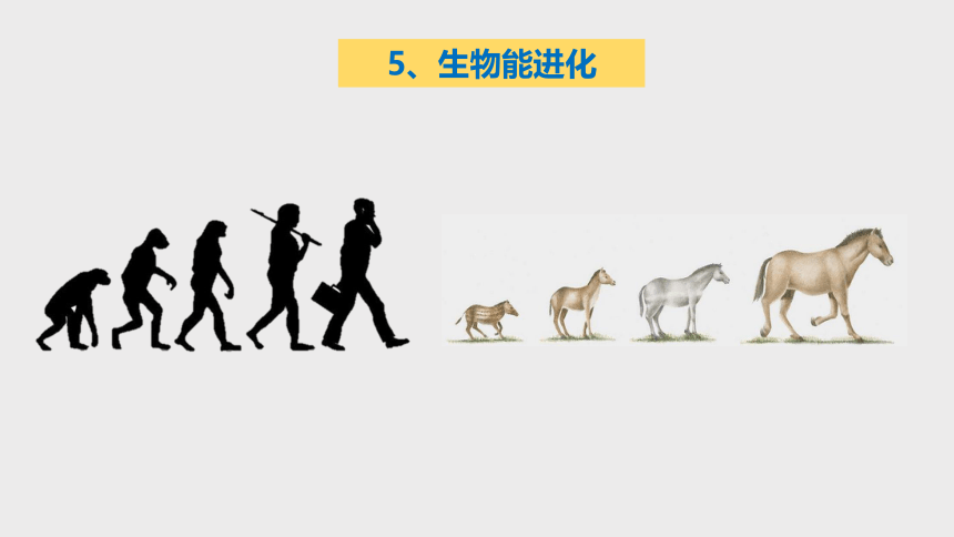 2.1 生物与非生物（课件 30张PPT）