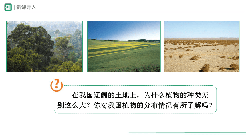3.6 爱护植被，绿化祖国2023-2024学年七年级生物上册精品资源包 课件(共22张PPT)（人教版）