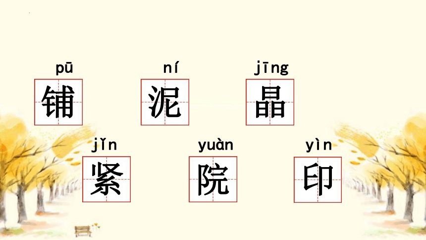 5 铺满金色巴掌的水泥道 课件(共29张PPT)