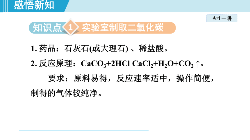 化学人教版九上知识点拨：6.2 二氧化碳制取的研究课件（共34张PPT）