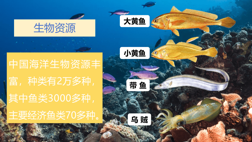 3.4 中国的海洋资源 课件(22张PPT) 八年级地理上册课件 湘教版