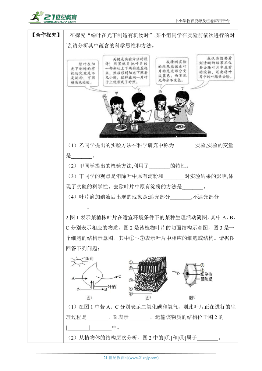 3.6.3  植物光合作用的实质-2023-2024学年七年级生物上册同步学案（含答案）