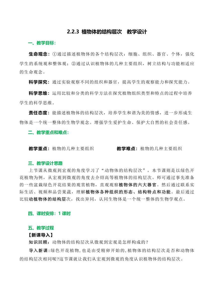 【核心素养目标】 2.2.3植物体的结构层次（教学设计）人教版七年级生物上册