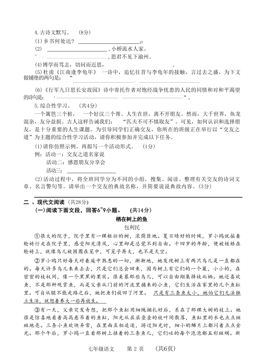 河南省濮阳市2023-2024学年七年级上学期11月期中语文试题（无答案）