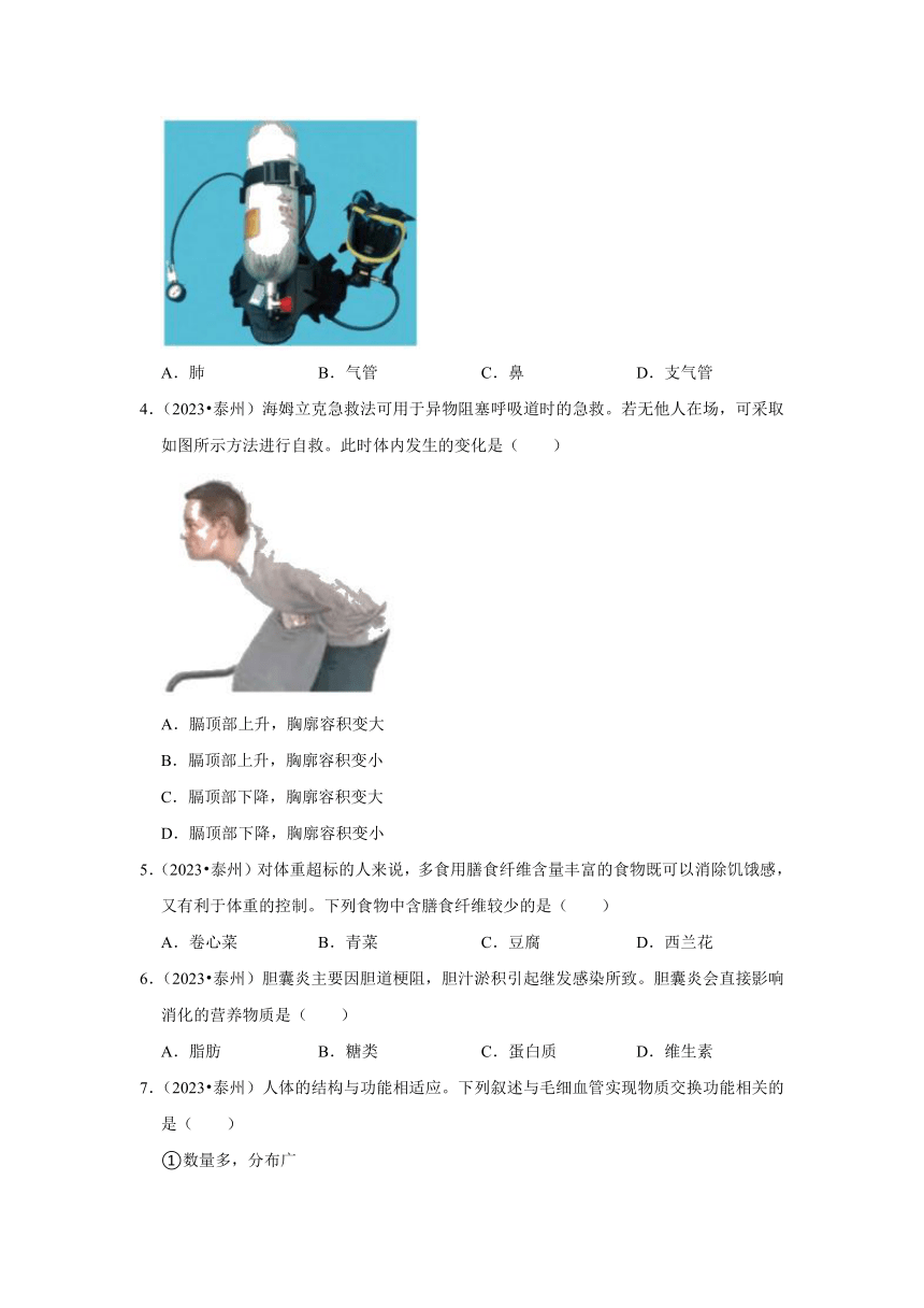 专题4人体的系统——2022-2023年江苏省中考生物试题分类（含解析）