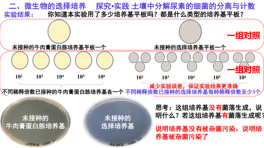 1.2 微生物的培养技术及应用（第3课时）人教版（2019）选择性必修3课件(共23张PPT)