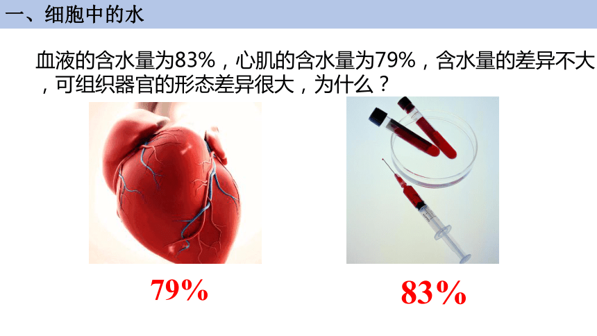 2.2 细胞中的无机物课件(共33张PPT1份视频)-高一生物课件（人教版2019必修1）