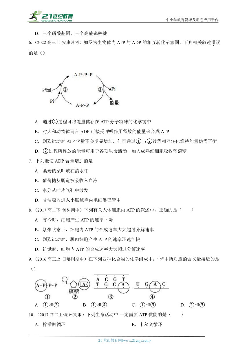 （浙科版新课标）高中生物必修1必刷题之细胞内的能量通货ATP（含解析）