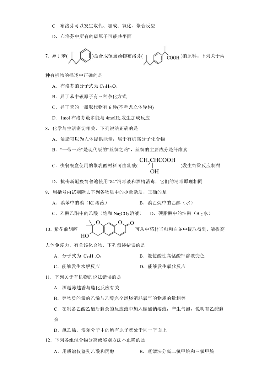 3.4羧酸 羧酸衍生物 （含解析）提升训练 2023-2024学年高二下学期化学人教版（2019）选择性必修3