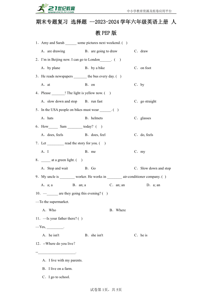 期末专题复习 选择题 --2023-2024学年六年级英语上册 人教PEP版（含答案）