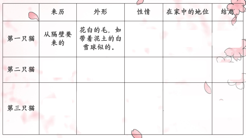 16  猫 教学课件(共21张PPT)