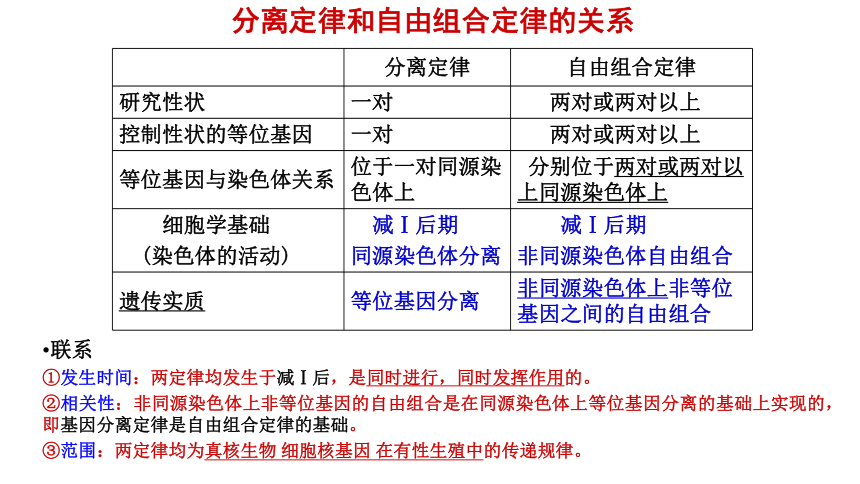 15 基因的自由组合定律(共33张PPT)-2024年高考生物一轮复习课件（新教材新高考）