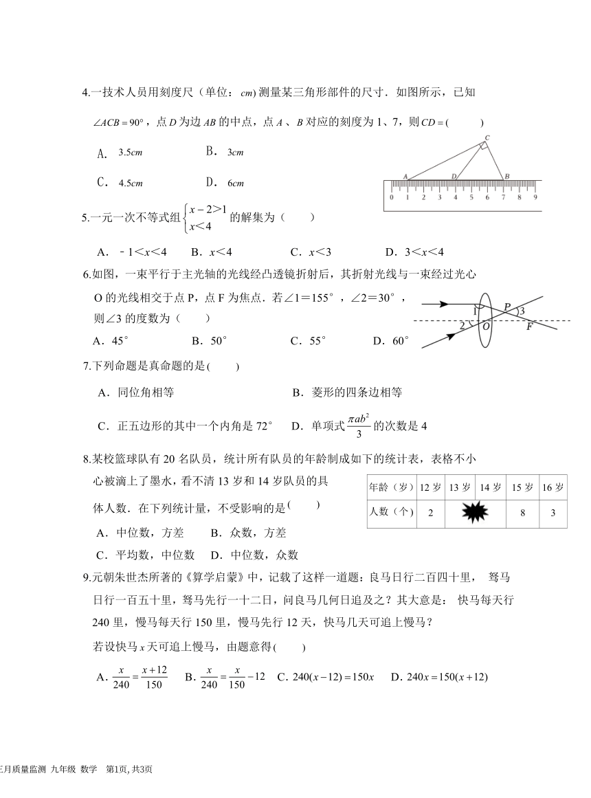 广东省深圳南二外九年级三月质量检测数学试卷(图片版无答案)
