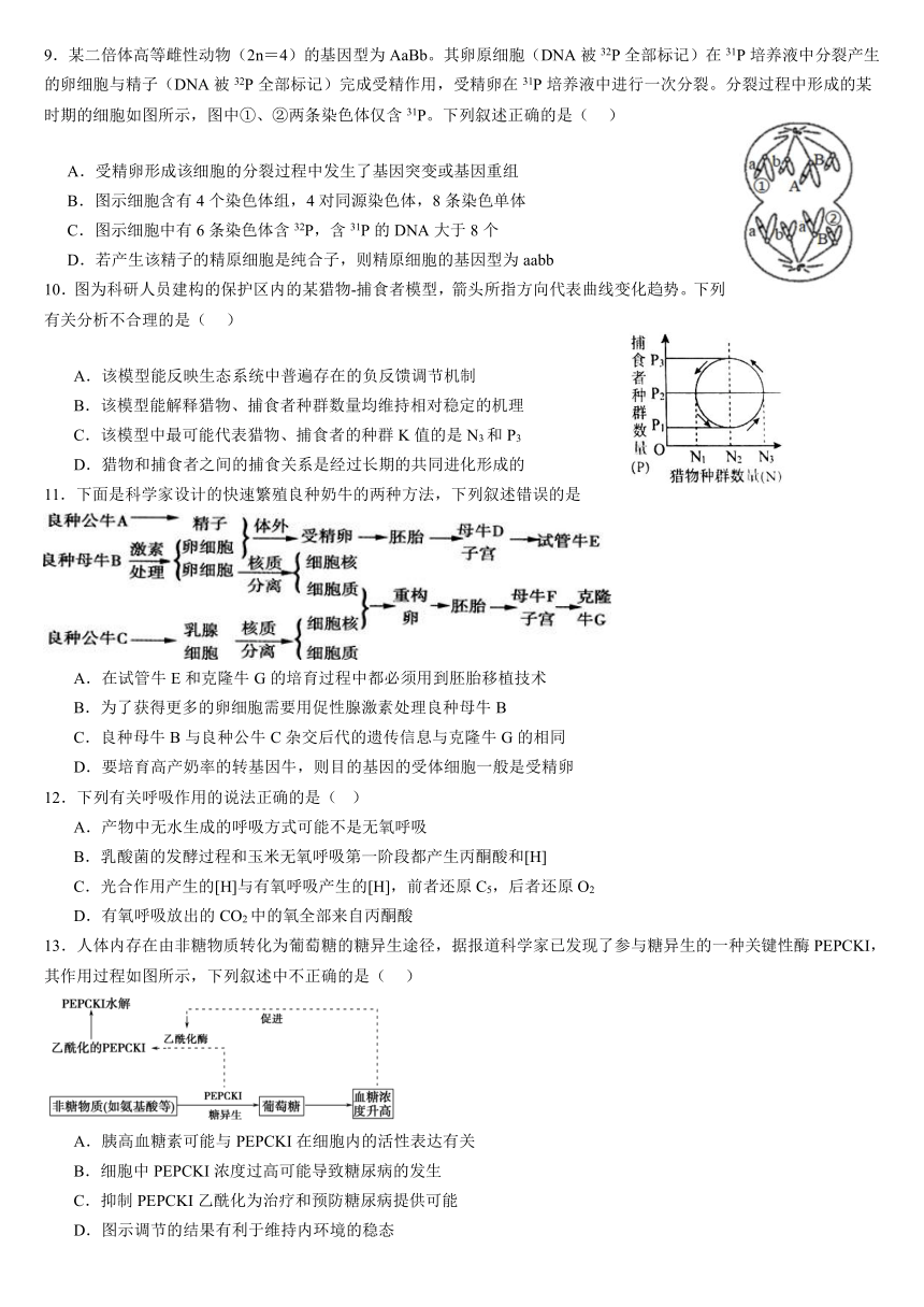 2024届浙江省宁波市高三下学期二模模拟考试生物学试题（含答案）