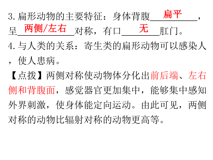 5.1 动物的主要类群 复习课件(共60张PPT)2023-2024学年人教版生物八年级上册